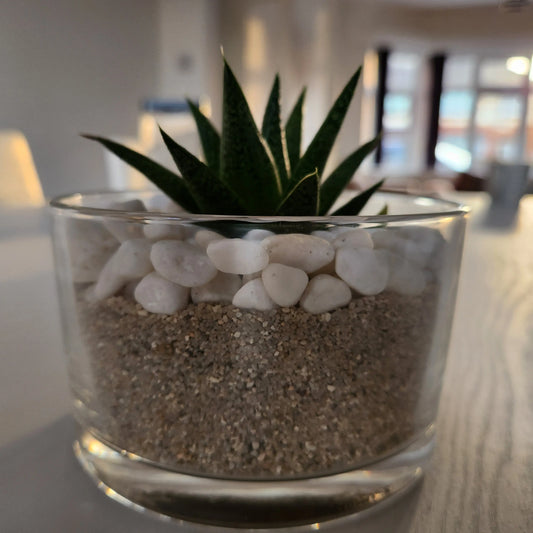 Spring-into-Sustainable-Living-Upcycling-Ideas-for-Your-Old-Candle-Jars The Antler Candle Company