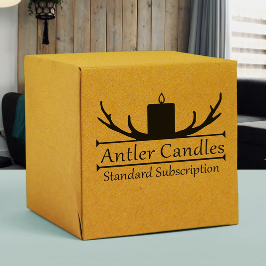 Standard Candle Subscription Box The Antler Candle Company